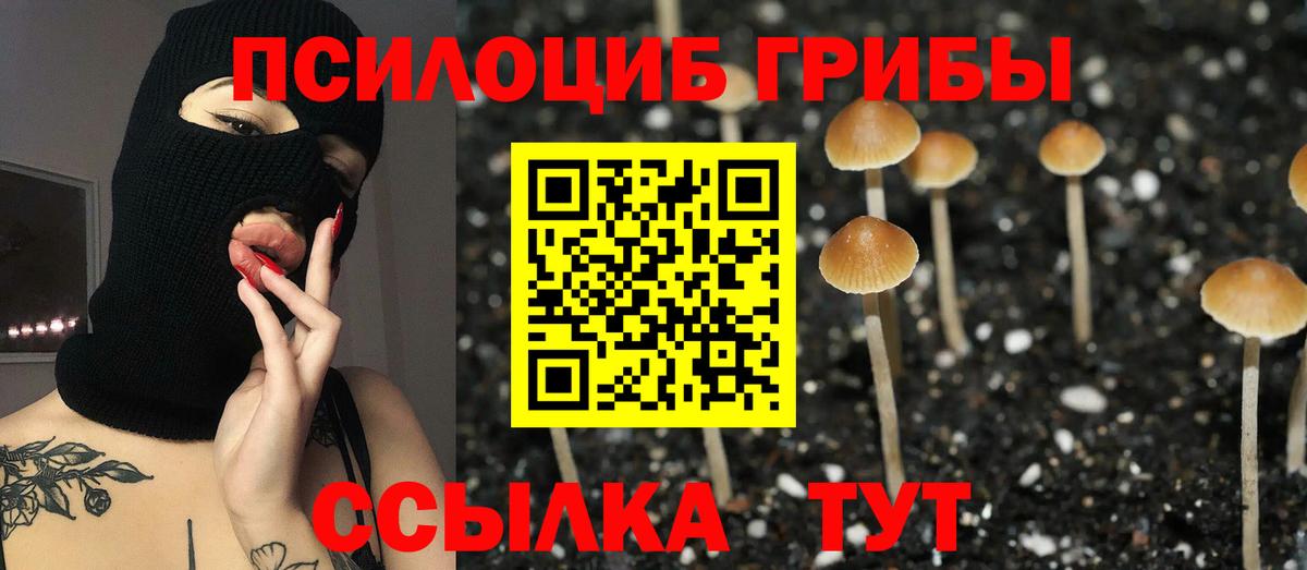 Галлюциногенные грибы Cubensis  Вход с VPN  Чистополь  Галлюциногенные грибы ЛСД 
